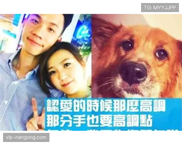 富里睡醒发现自家马场又多了一匹新马，账单还没看人先懵了