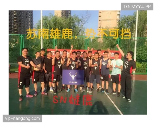 篮球比赛中什么是14秒重置规则？实际判罚场景解析